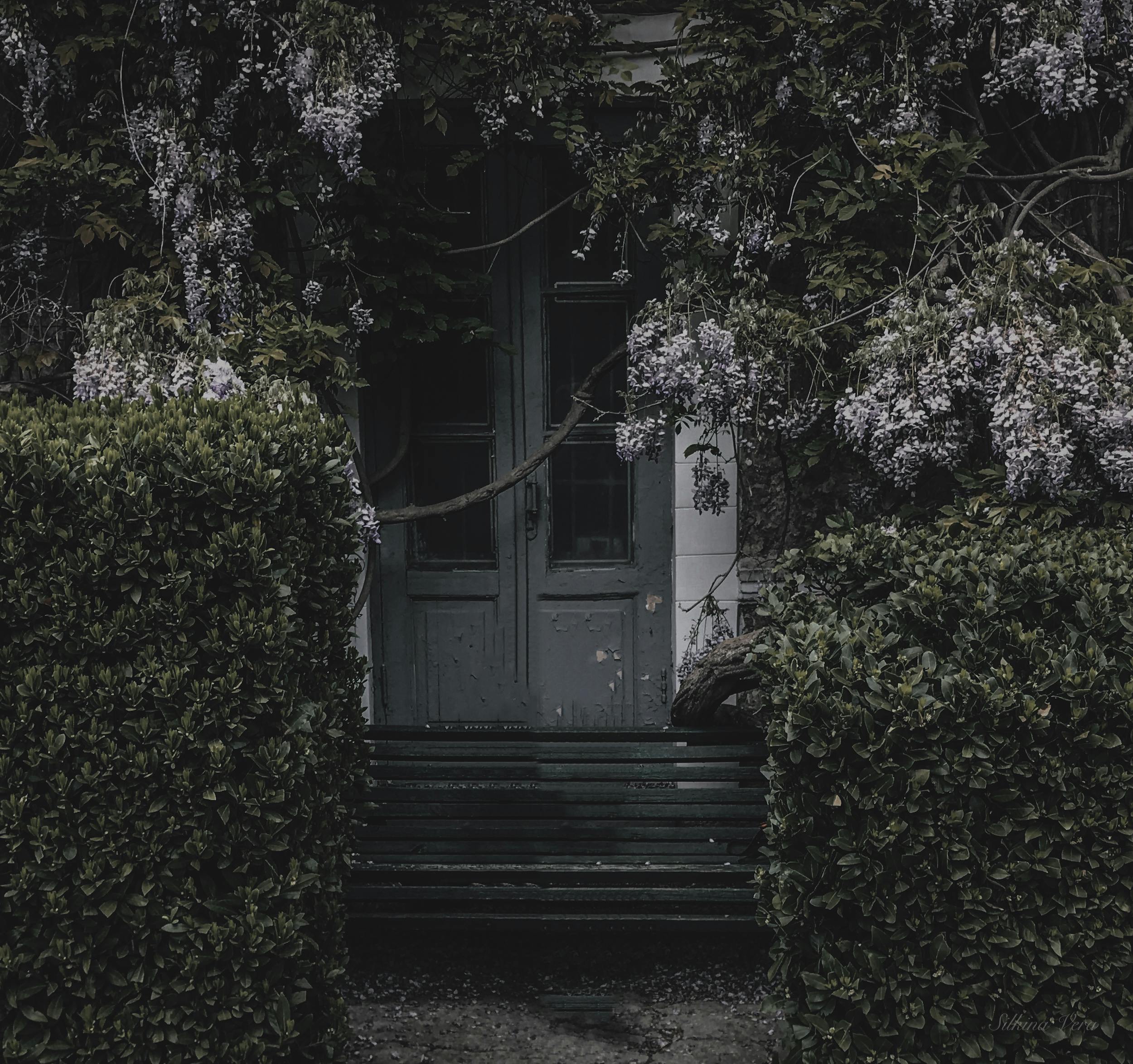 The Forgotten Garden…